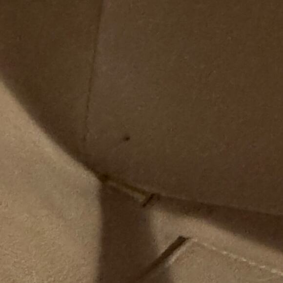 Chanel Vintage Caviar Beige Gold Medallion Tote Authentic CoA - Picture 4 of 12